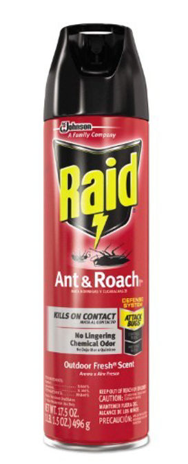 Picture of Raid Ant & Roach Outdoor 17.5oz